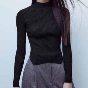 Zara Fitted Knit Sweater